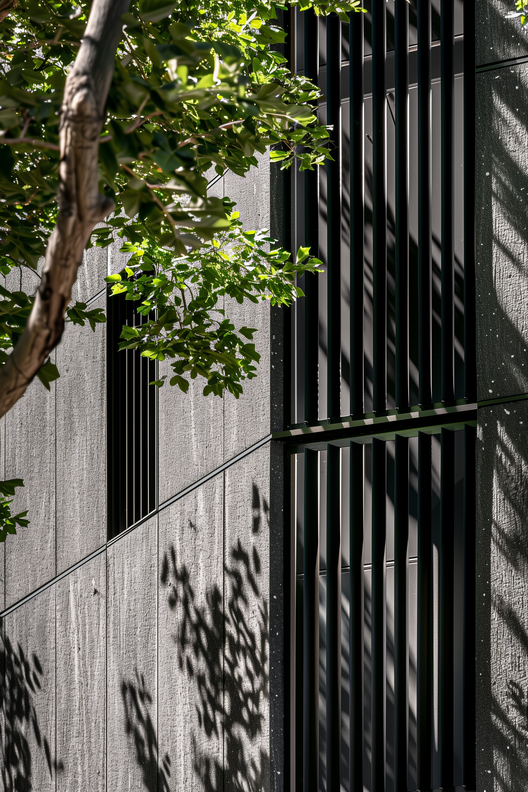 Proje 2 - Fotoğraf 2